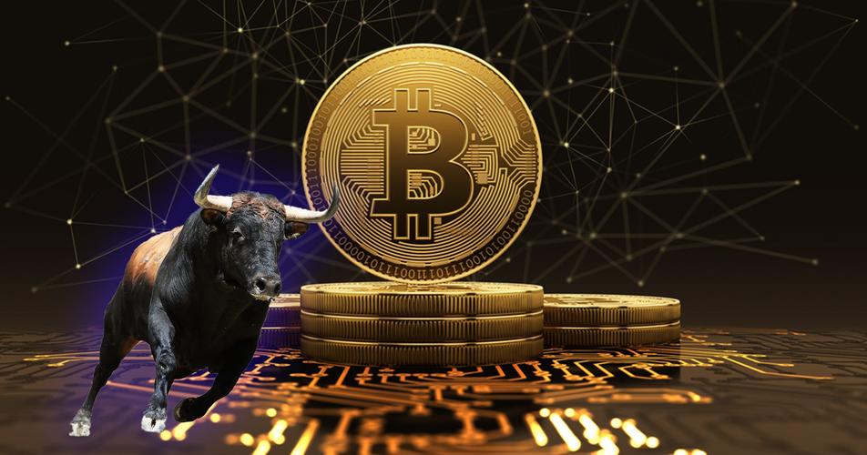 如何评估比特币交易软件的市场表现与风险？_比特币评级机构_比特币价值评估