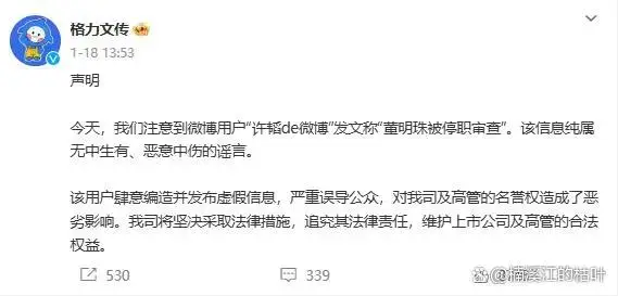 在董明珠被停职审查的背景下，格力电器未来发展战略的启示_格力的启示_格力电器审计