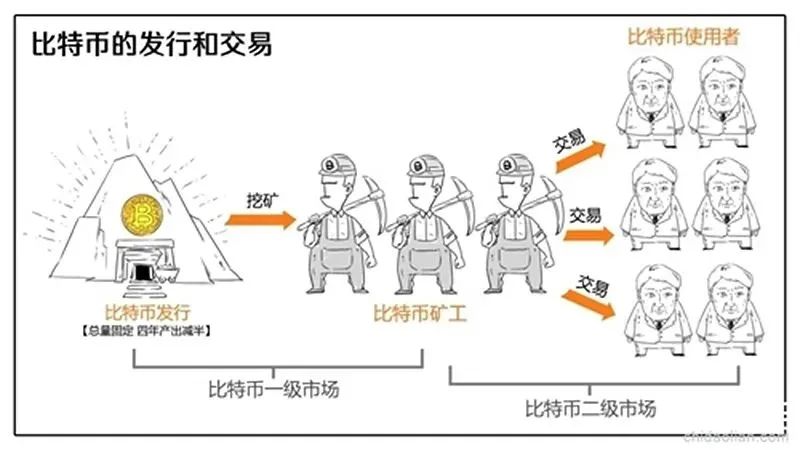 货币的收益率_货币的收益怎么算_如何通过比较选择数字货币的收益