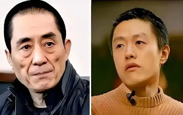 巩俐票房统计_巩俐的电影票房与引领趋势_巩俐演电影票房最高哪部