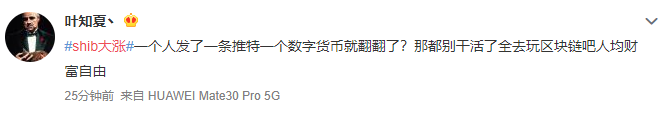 比特币和山寨币的区别_比特币山寨是什么意思_从比特币到山寨币：了解不同类型加密货币的投资价值与风险